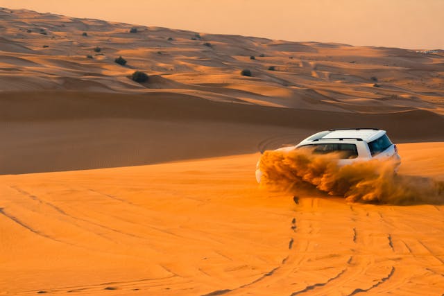 Dubai Desert Safari (Standard / Premium)